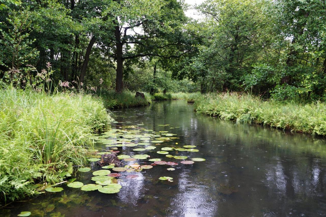 Blugarden Ferienapartments Im Spreewald Lübben Kültér fotó